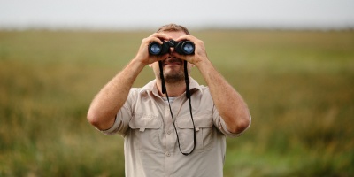 looking
