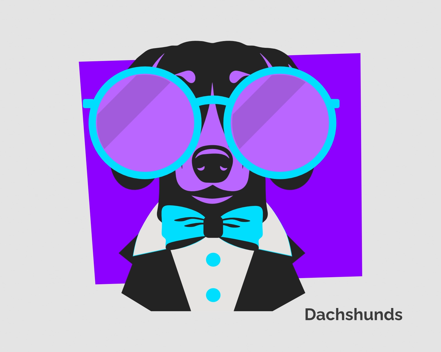 dachshund pop art online poster art gallery banner
